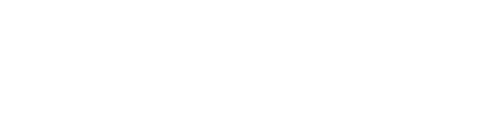 Palantir